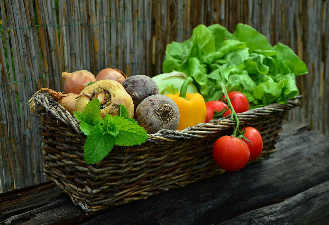 Panier de légumes pour repas équilibrés
